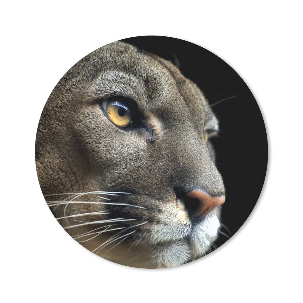 MuchoWow Mauspad Mousepad Cougar - Augen - Schwarz 40x40 cm - Mousepads - Maus Mat - Pad - Mausunterlage - Schreibtisch Accessoires