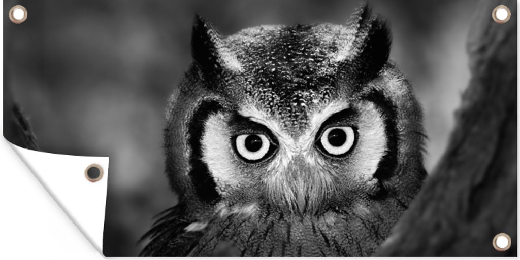 MuchoWow 80x40 cm Outdoor-Poster Gartendeko Sichtschutz Garten Poster für den Garten Vogel - Eule - Porträt - Schwarz - Weiß