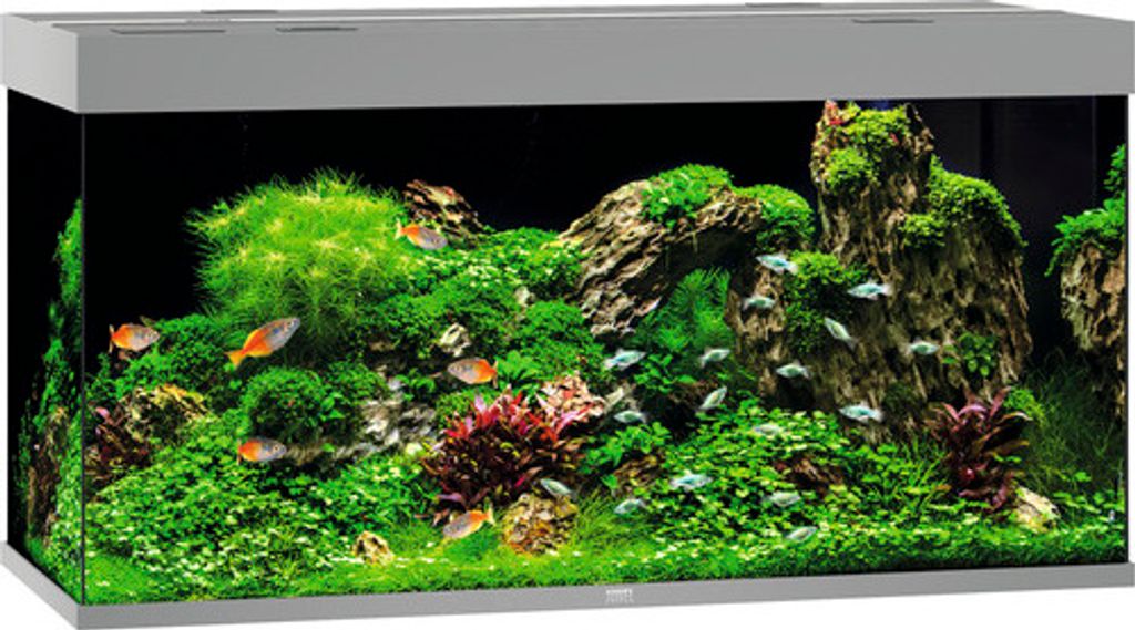 Aquarium JUWEL Rio 350 mit LED-Beleuchtung, Pumpe, Filter, Heizer ohne Unterschrank grau