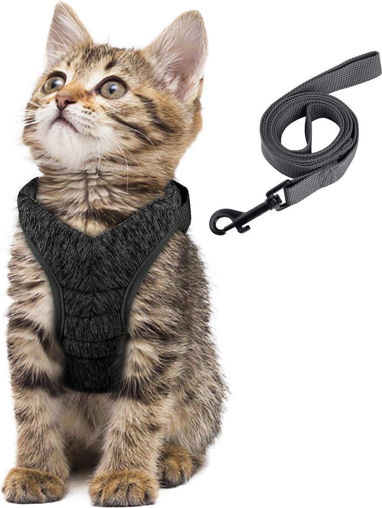 Katzenharness Anti-Entkommen-Geschirr mit Leine für Katzen und Kätzchen - weich und klein - schwarz. Katzenharness