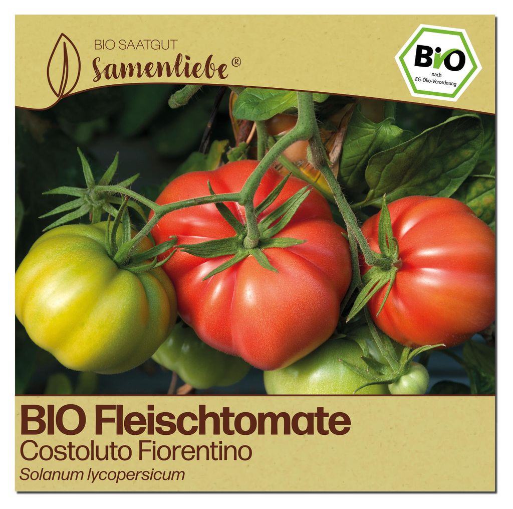 Samenliebe  Tomate Samen | Costoluto Fiorentino - rot & Produktbild 