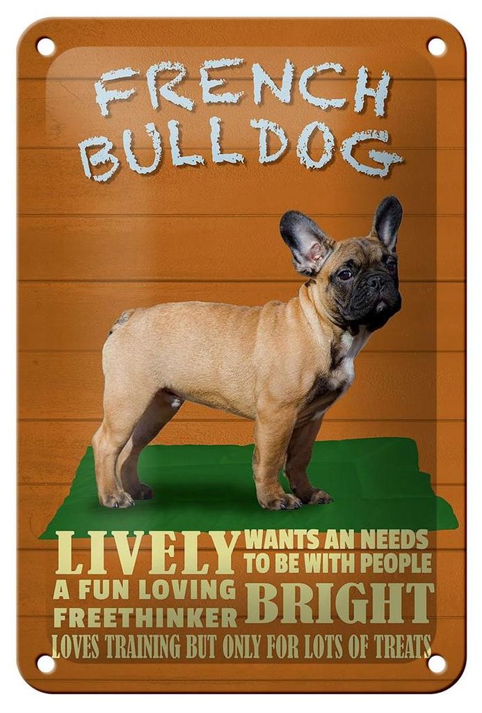 Blechschild Spruch 12x18cm French Bulldog Hund lively