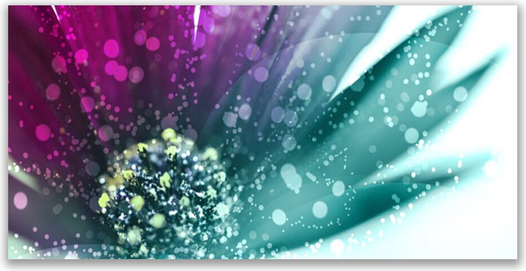 Küchenrückwand aus Glas 140x70cm Spritzschutz Blume Kunst
