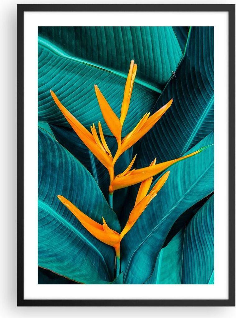 Gerahmtes Poster - Schwarzer Rahmen - Blumen Tropen Blätter - 50x70 cm - Wand Bild - Wanddeko - Wandbilder - Kunstposter - Wandposter - Bilderrahm...