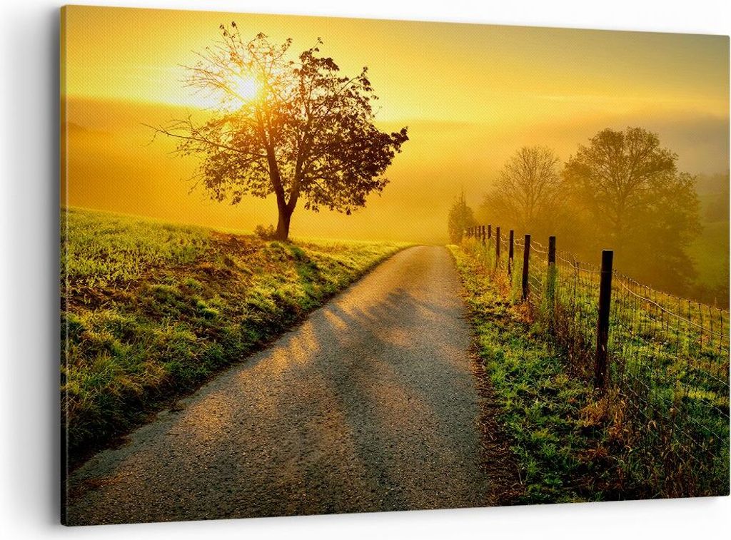 Bild auf Leinwand - Leinwandbild - Feld Straße Baum - Produktbild 
