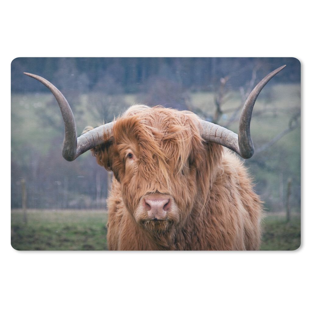 MuchoWow Schreibtischunterlage Schottischer Highlander - Hörner - Berg 60x40 cm - XXL Mauspad - Großes Mauspad