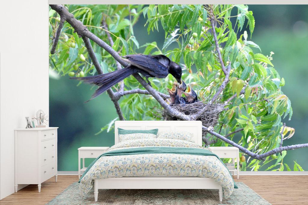 MuchoWow Fototapete für Wohnzimmer oder Schlafzimmer Wandtapete Vinyl Motivtapete Vogel füttert Junge im Nest - 375x240 cm - Wand Tapete