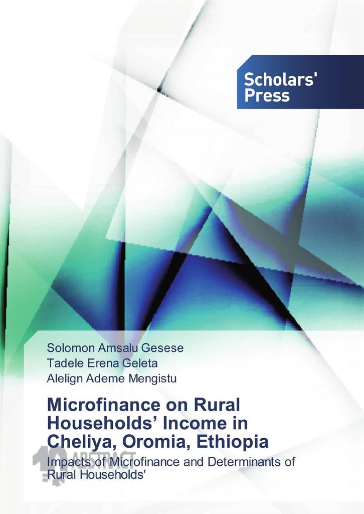 Microfinance on Rural Households' Income in Cheliya, Oromia, Ethiopia