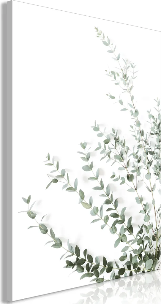 Quadro su tela italiano - Eucalyptus Parvifolia (1 parte) verticale 40x60 cm foglie b-B-0649-b-a