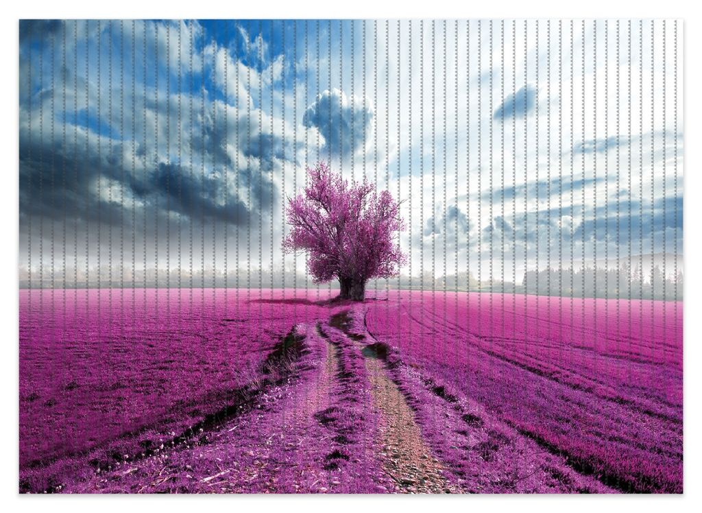 Wallario Duschmatte Antirutschmatte Badmatte Fußmatte Surreales Blumenfeld lila Blumen auf dem Feld, Größe ca. 70 x 50 cm