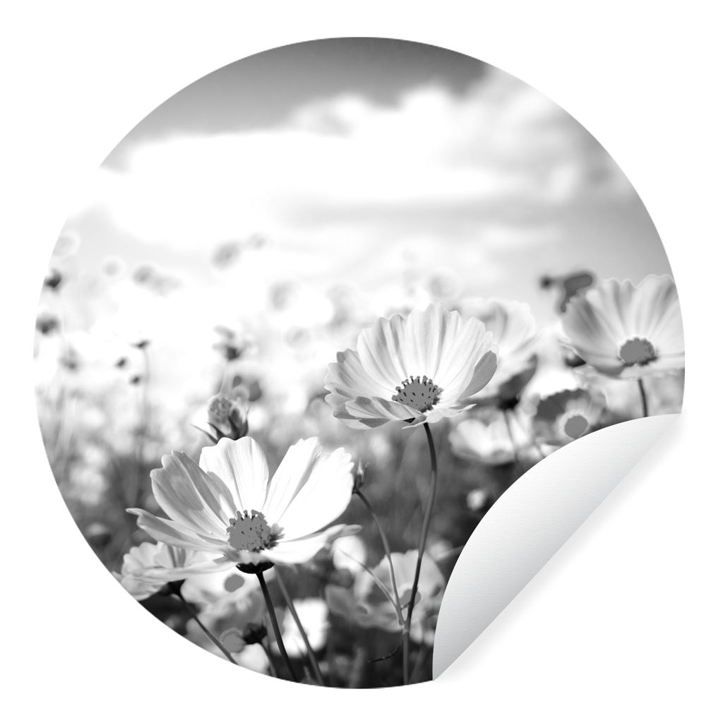 MuchoWow Runde Wandtattoo - Wandsticker Tapete Aufkleber Blumen - Wiese - Lila - Gras - Weiß - Wolken - Blau Ø 30 cm Selbstklebend und Repositi...