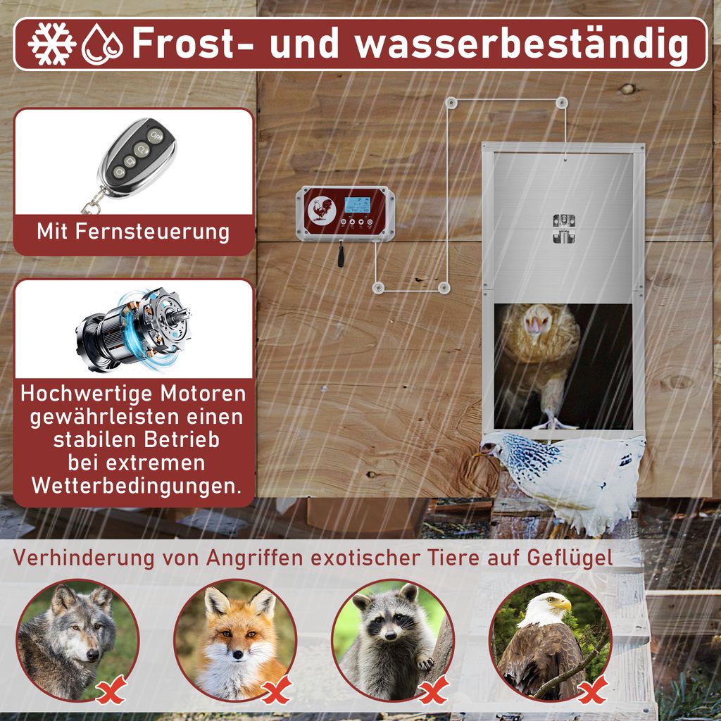 Jopassy Hühnerklappe 2in1 Automatische Hühnertür mit Produktbild 3