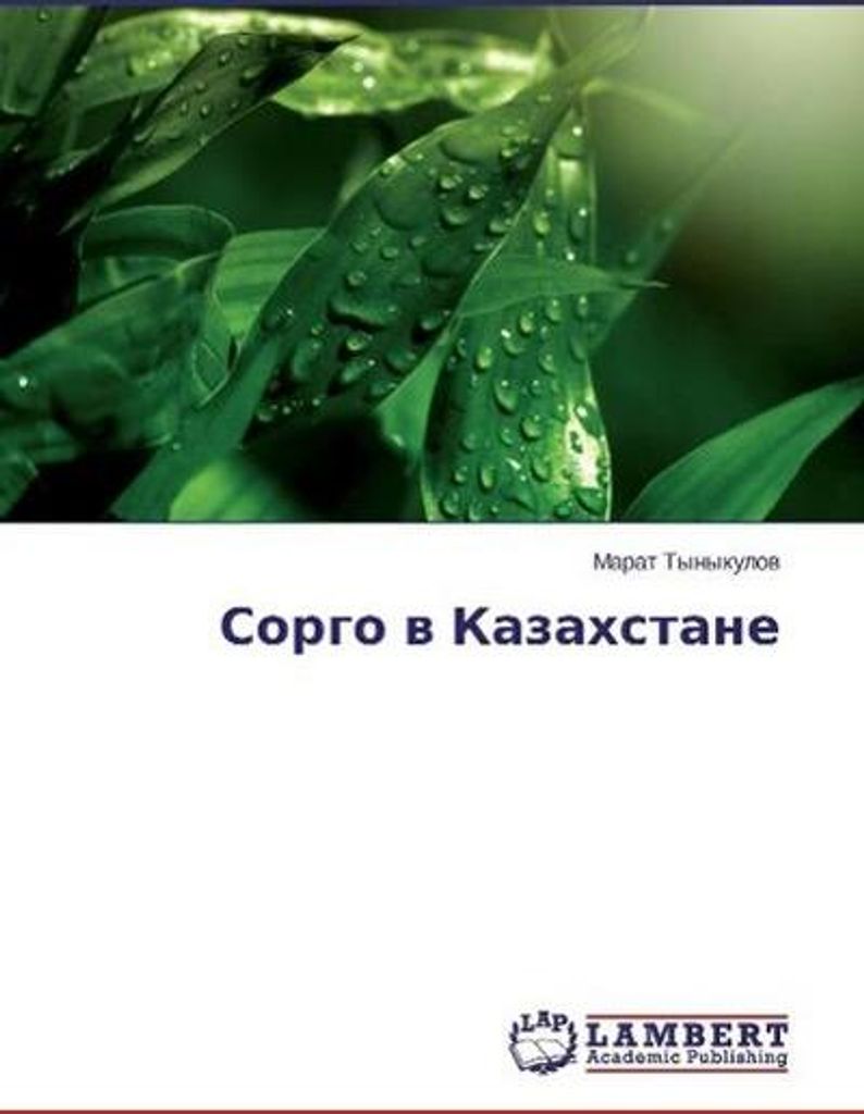 Sorgo v Kazahstane