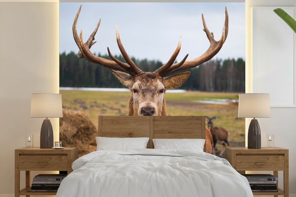 MuchoWow Fototapete für Wohnzimmer oder Schlafzimmer Wandtapete Vinyl Motivtapete Rotwild - Natur - Wiese - 220x220 cm - Tapeten