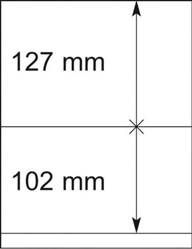 Lindner 802210P T-Blanko-Blätter - 10er-Packung
