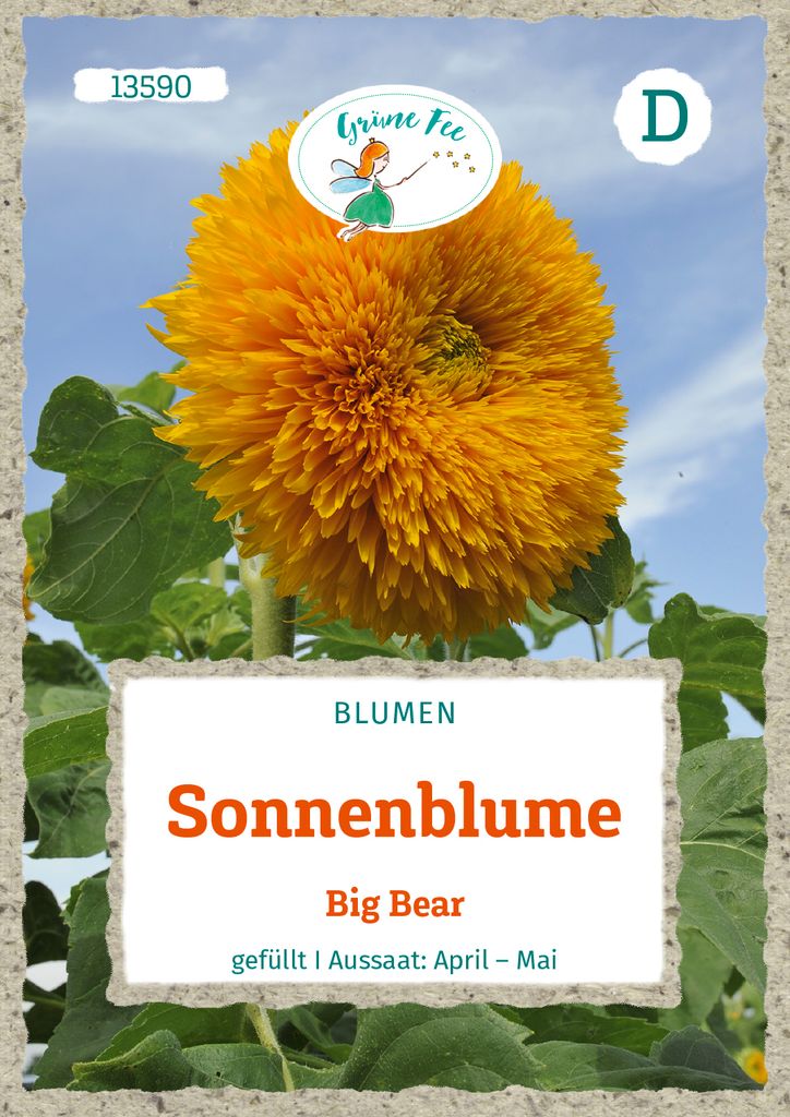Grüne Fee - Sonnenblume Big Bear Samen - 13590 Produktbild 
