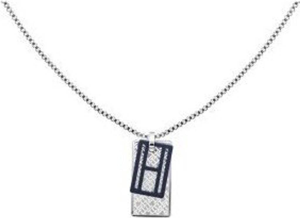 Náhrdelníky s přívěsky Tommy Hilfiger Stříbro Od 50 cm do Obrázek produktu 