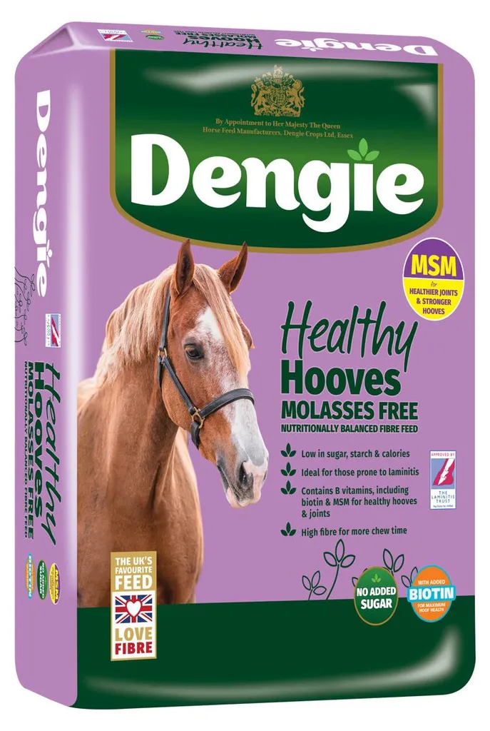 Dengie Healthy Hooves au MSM : aliment biotine sans mélasse cheval 20kg