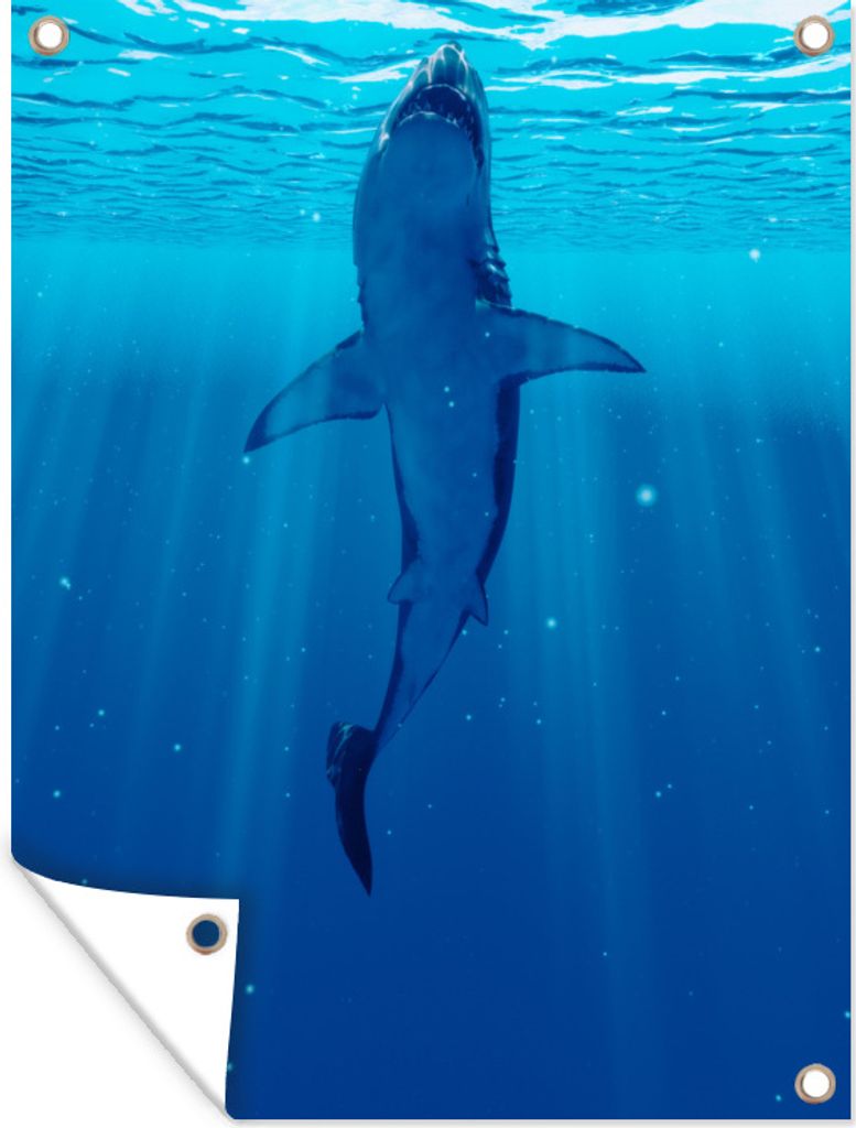 MuchoWow 90x120 cm Outdoor-Poster Gartendeko Sichtschutz Garten Poster für den Garten Hai - Wasser - Illustration