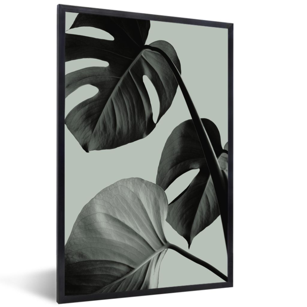 MuchoWow Gerahmtes Poster Monstera - Blätter - Grün - Stilleben 20x30 cm - Poster mit Schwarzem Bilderrahmen Wandposter Rahmen Foto Bilder - Dr...