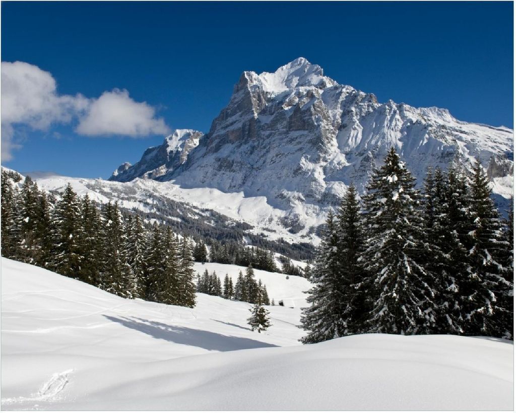 Wallario Poster - Verschneiter Berghang unter blauem Himmel, Kunstdruck Größe: 40 x 50 cm
