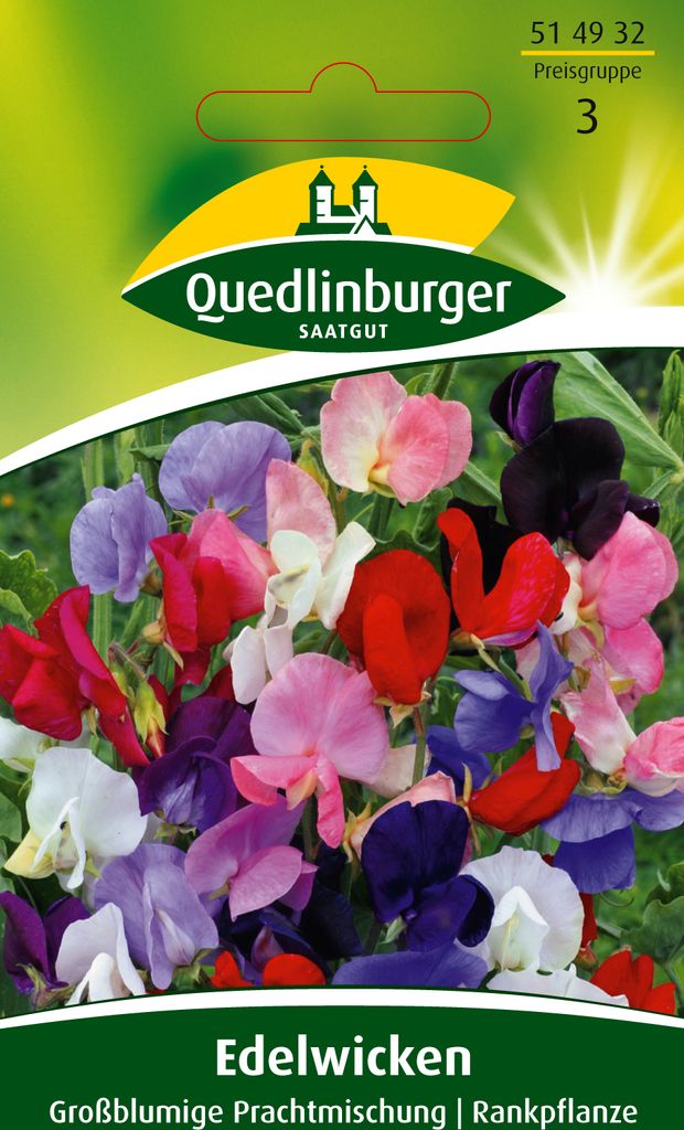 Edelwicke, Großblumige Mischung Produktbild 