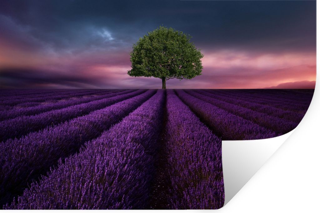 MuchoWow Wandtattoo Wandsticker Wandaufkleber Lavendel - Baum - Lila 90x60 cm Selbstklebend und Repositionierbar - Aufkleber