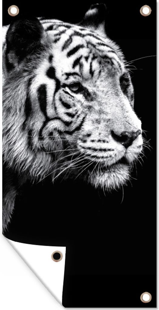 MuchoWow 40x80 cm Outdoor-Poster Gartendeko Sichtschutz Garten Poster für den Garten Studioaufnahme eines weißen Tigers auf schwarzem Hintergrund