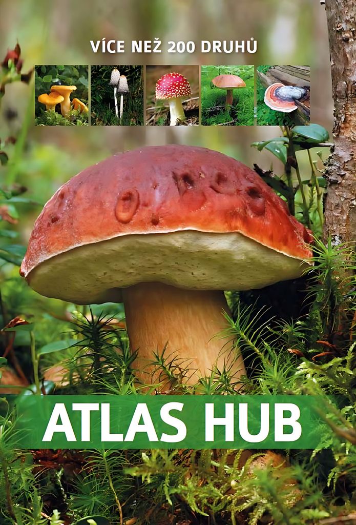 Atlas hub | Bogdan Heinz