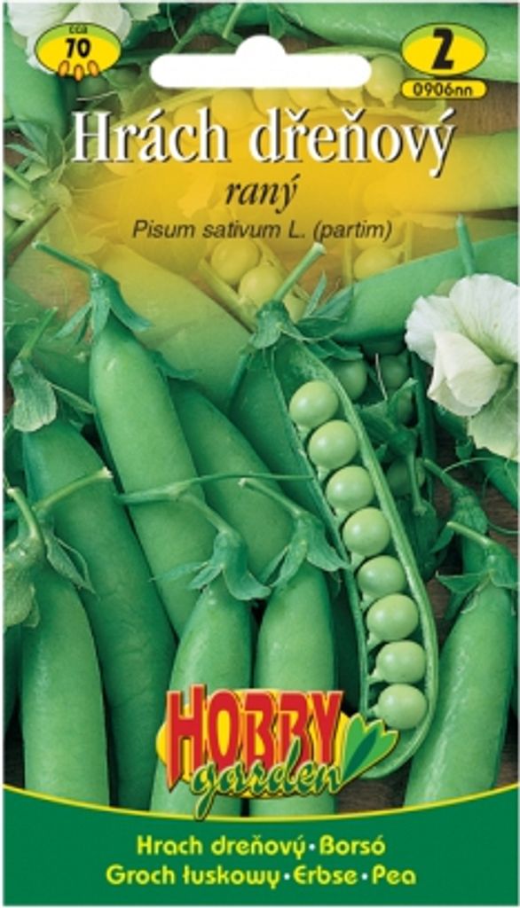 Hrách dřeňový raný Obrázek produktu 