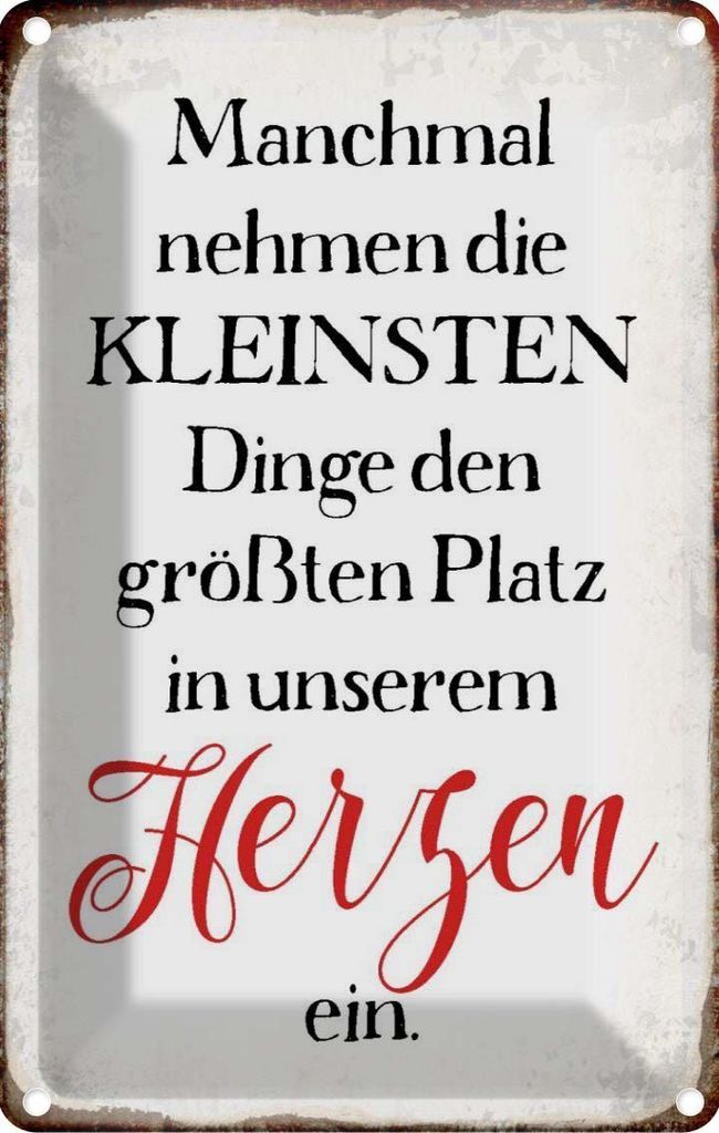 vianmo Blechschild 18x12 cm die kleinsten Dinge größte Platz Spruch Zitat