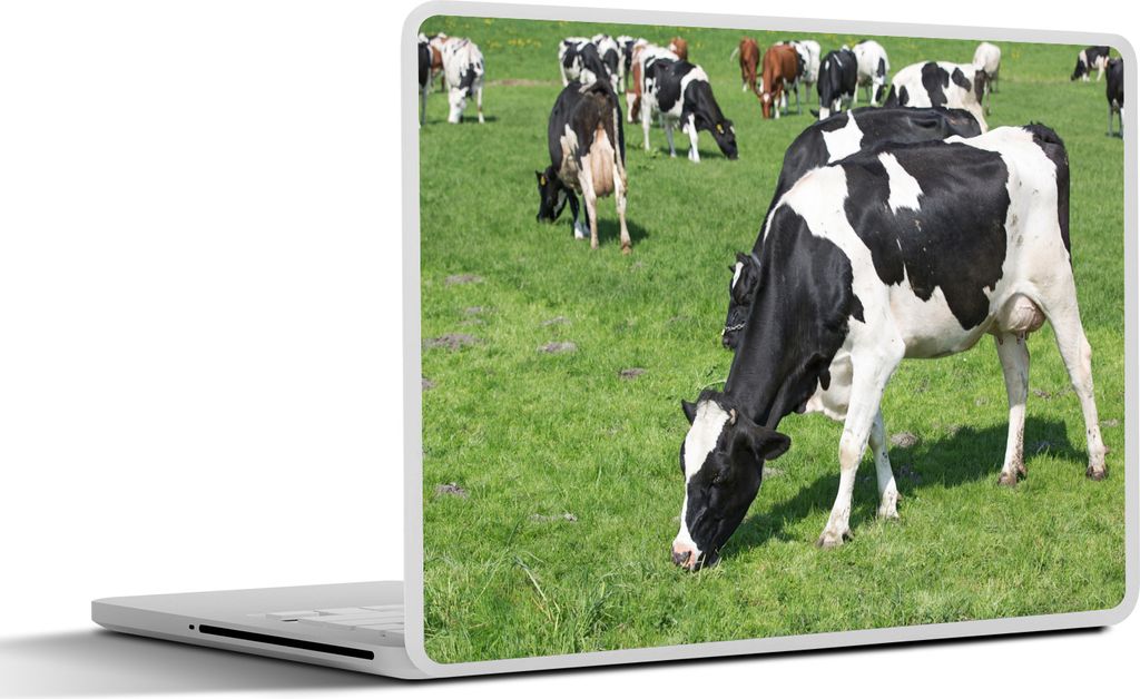 MuchoWow Laptop Aufkleber Sticker Cover Kuh - Tiere - Gras - Sonne 31x22.5 cm - Laptop-Deko