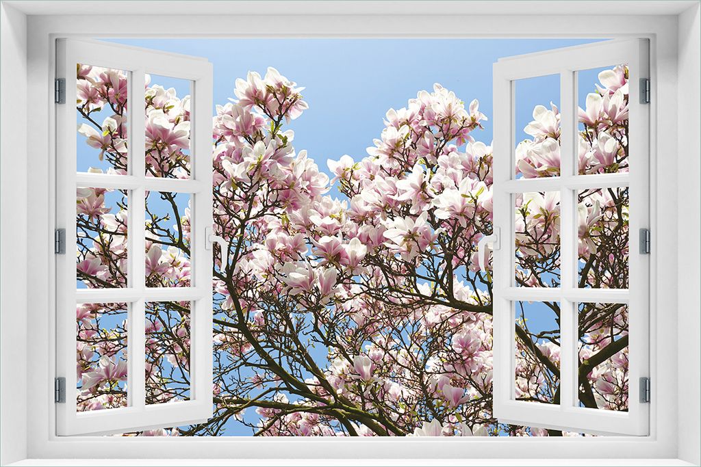 Wallario selbstklebendes Poster mit Fenster-Illusion - Schöne rosa Magnolien-Blüten vor blauem Himmel, Größe: 61 x 91,50 cm