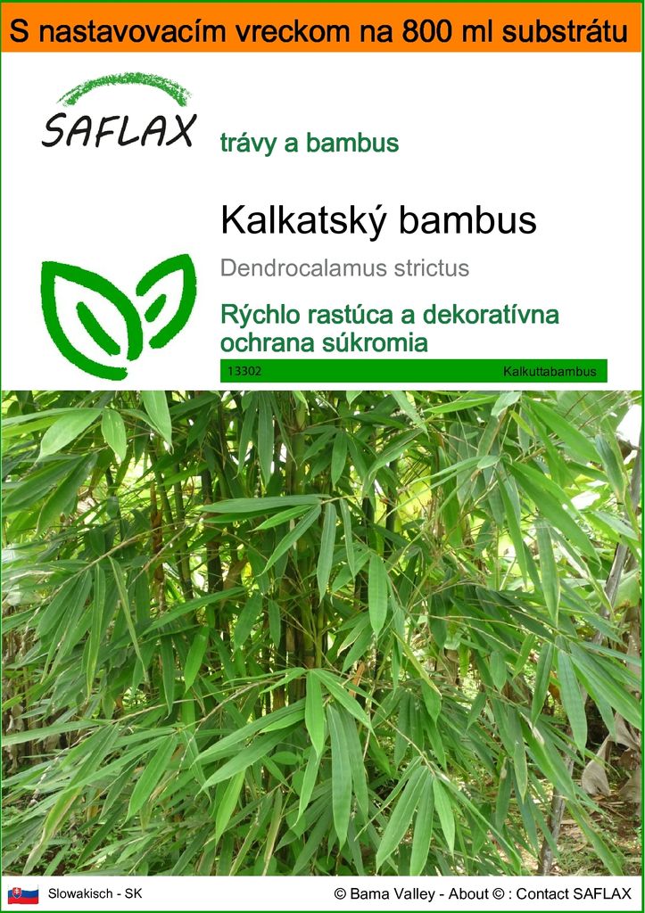SAFLAX Garden in the bag - kalkatský bambus - Dendrocalamus Obrázok produktu 