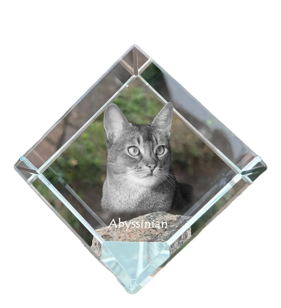 Presse-papier Chat d'Abyssinie en Cristal : Stable, Élégant et Durable