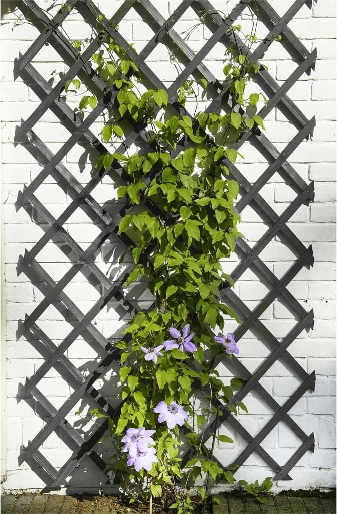 Prírodná záhradná mriežka 50x150 cm drevo antracit Obrázok produktu 4