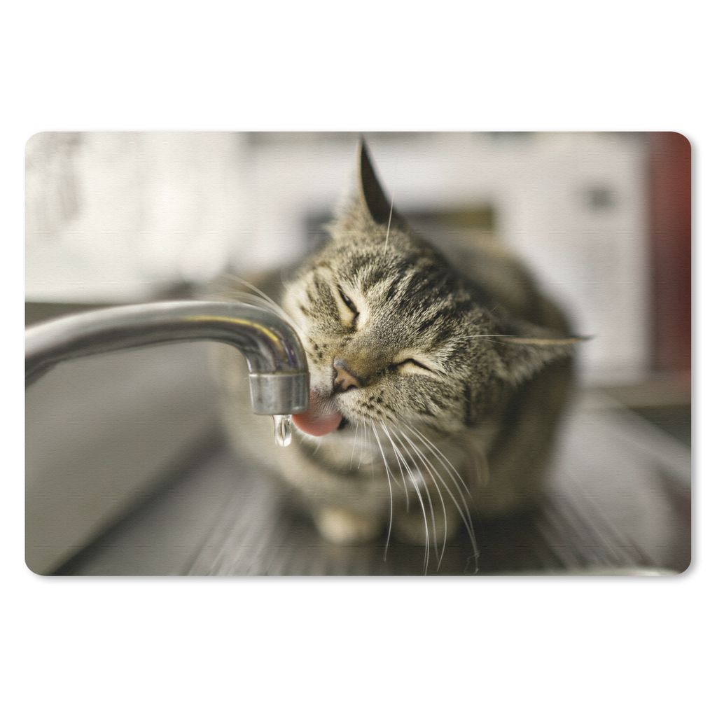 MuchoWow Schreibtischunterlage Katze - Wasserhahn - Getränk 60x40 cm - XXL Mauspad - Großes Mauspad