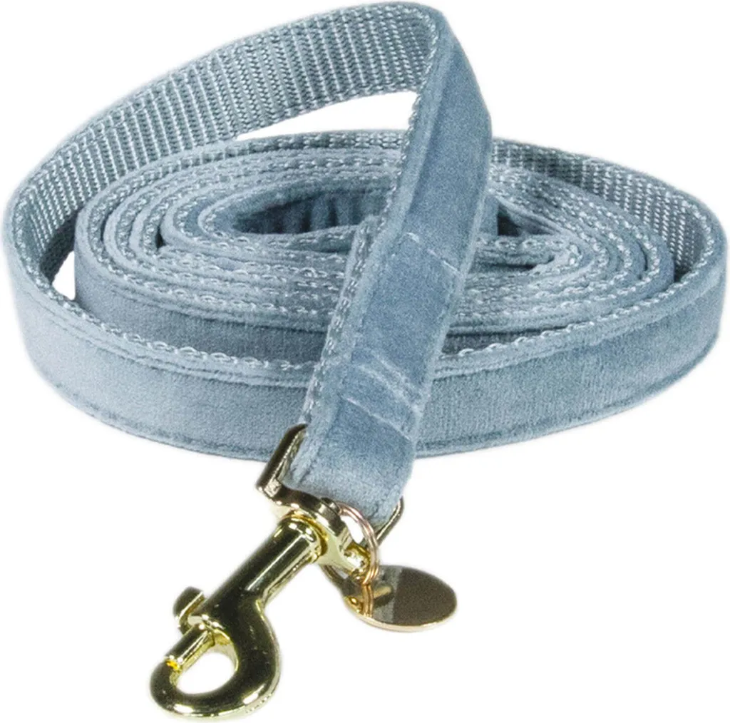 Laisse pour chien Velvet Kentucky Dogwear Bleu clair 120 cm S