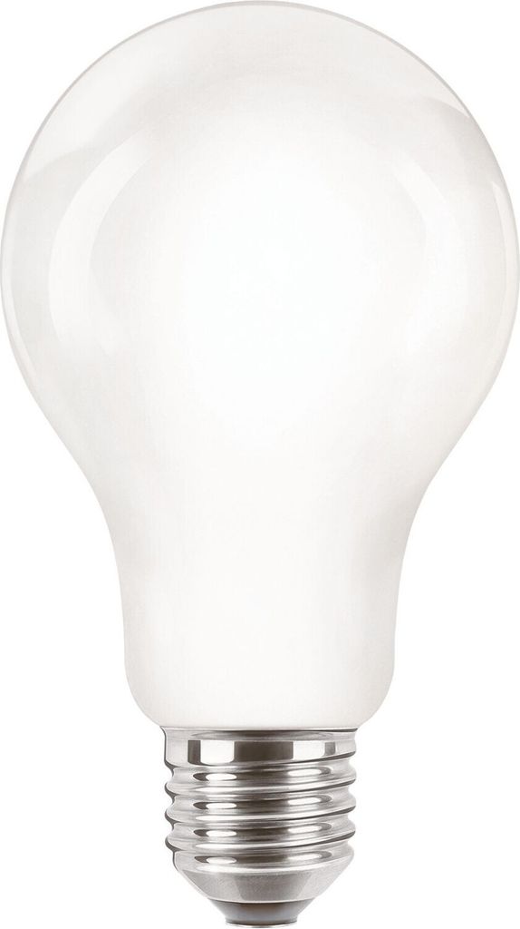 Philips Matná filamentová žárovka 120 W, A67 E27, 13 W, 120 Obrázek produktu 