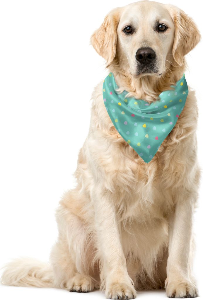 ABAKUHAUS Valentinstag Haustier Bandana, Pastel Mini-Herzen, 40x40 cm, Seafoam und Multicolor