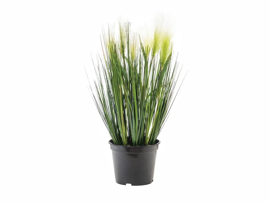 EUROPALMS erba di piume, artificiale, bianca, 60 cm (82505864)