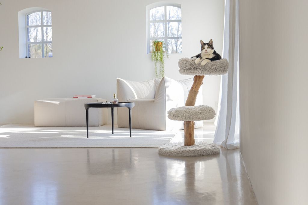 Designed by Lotte Katzenkratzbaum Zora 50x50x72 cm Holz Produktbild 4