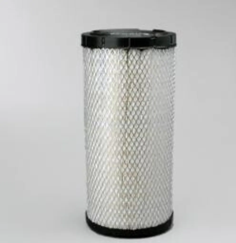 Filtre à air Donaldson P828889 pour moteurs de haute performance brute