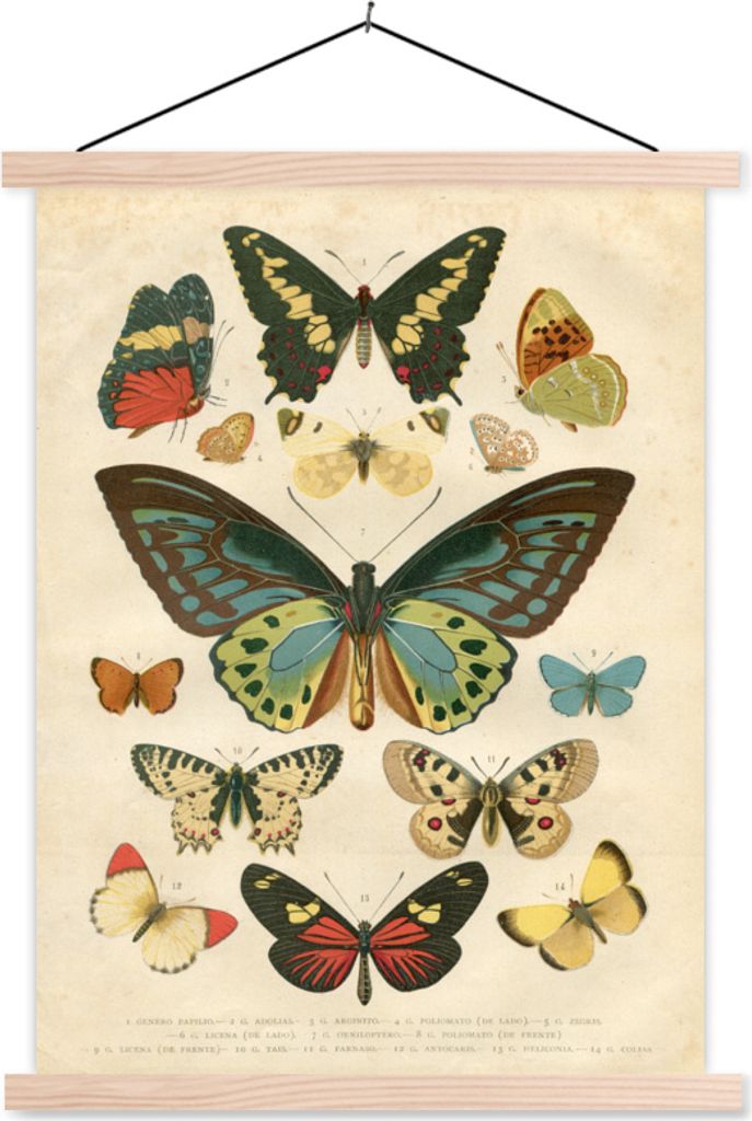 MuchoWow Textilposter Schmetterlinge - Antiquitäten - Tiere - Zeichnung 40x53 cm mit holzfarbenen Rahmen - Schlafzimmer