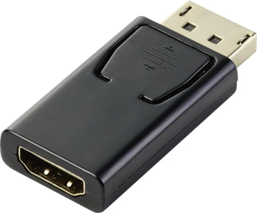 Adaptateur DisplayPort HDMI pour Moniteur et Vidéoprojecteur Renkforce