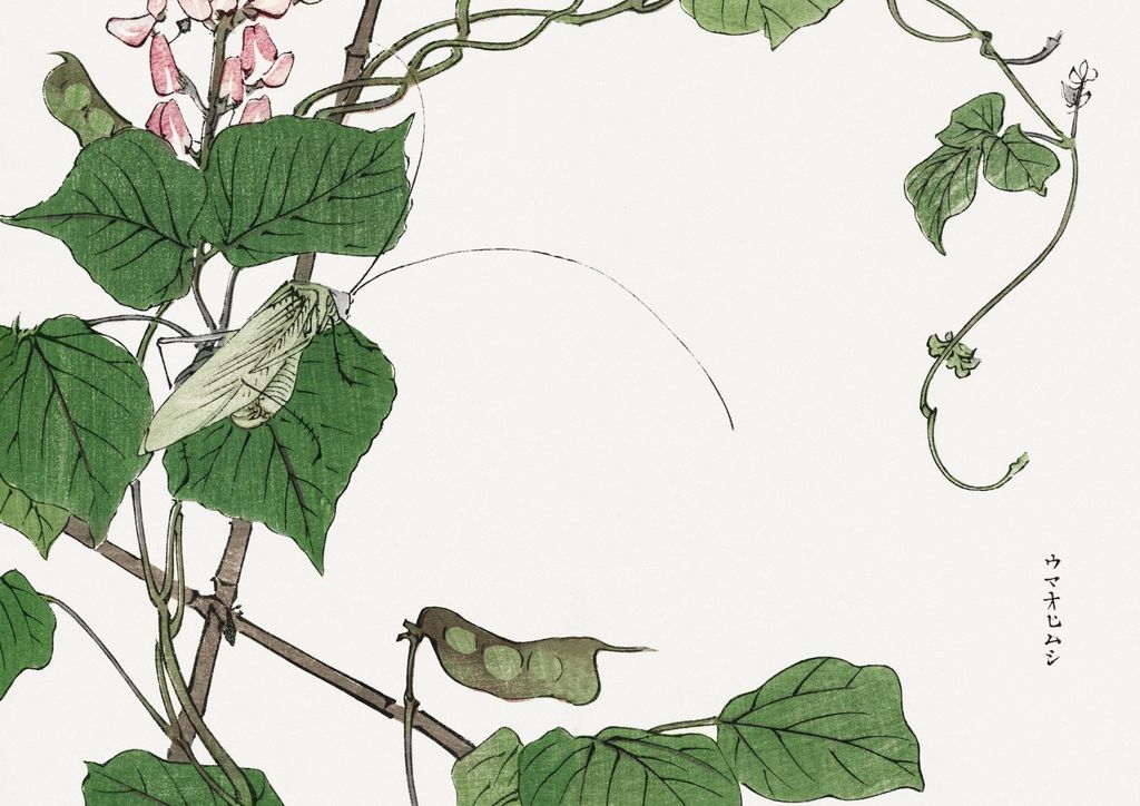 Plakat 42x29,7cm Heuschrecke auf Blatt Morimoto Toko Japanisch Vintage für das Wohnzimmer