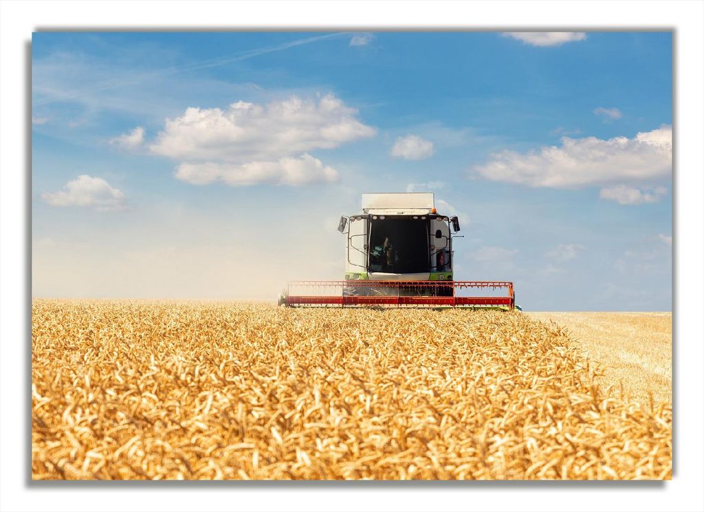 Wallario Poster - Erntezeit auf dem Feld, Kunstdruck Größe: 70 x 100 cm