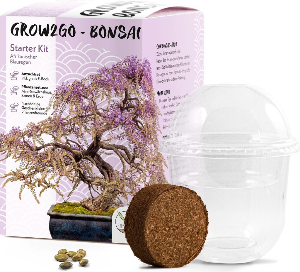 GROW2GO Bonsai Starter Kit inkl. GRATIS eBook - Afrikanischer Blauregen