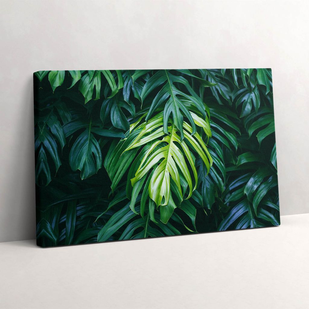 Tropische Natur - monstera Blätter – Leinwandbild Wandbild – 30x20 cm – Leinwandbilder – Wandbilder – Schlafzimmer – Flur