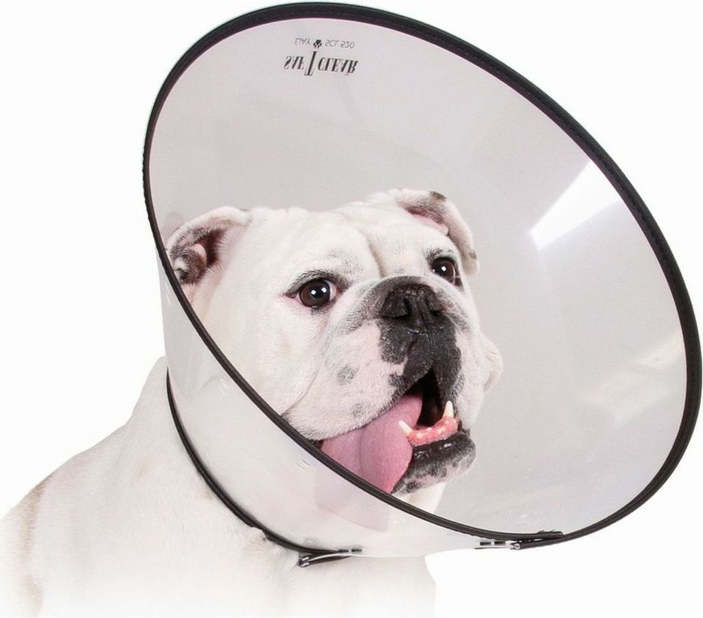 Hunde-Halskrause KVP Saf-T-Clear Durchsichtig (30-76 cm)